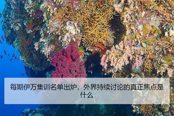 每期伊万集训名单出炉，外界持续讨论的真正焦点是什么